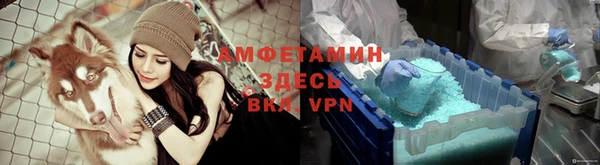 тгк Снежногорск