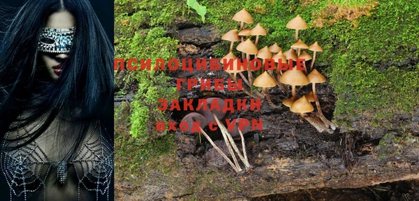 a pvp Жердевка