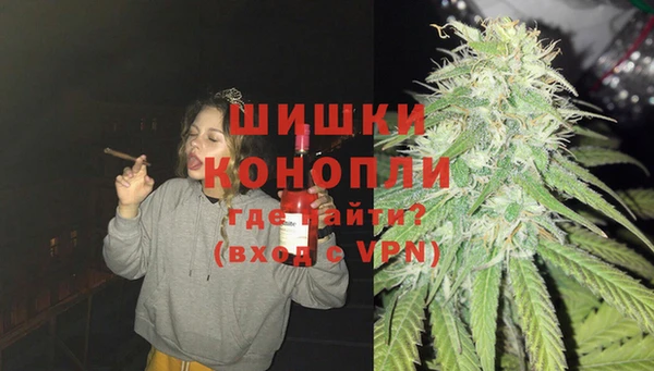 тгк Снежногорск